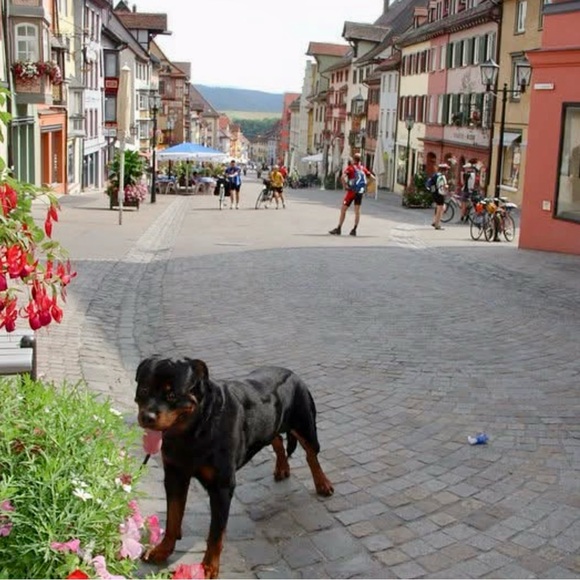 Meet your Posher, Michelle - Picture 6 of 8